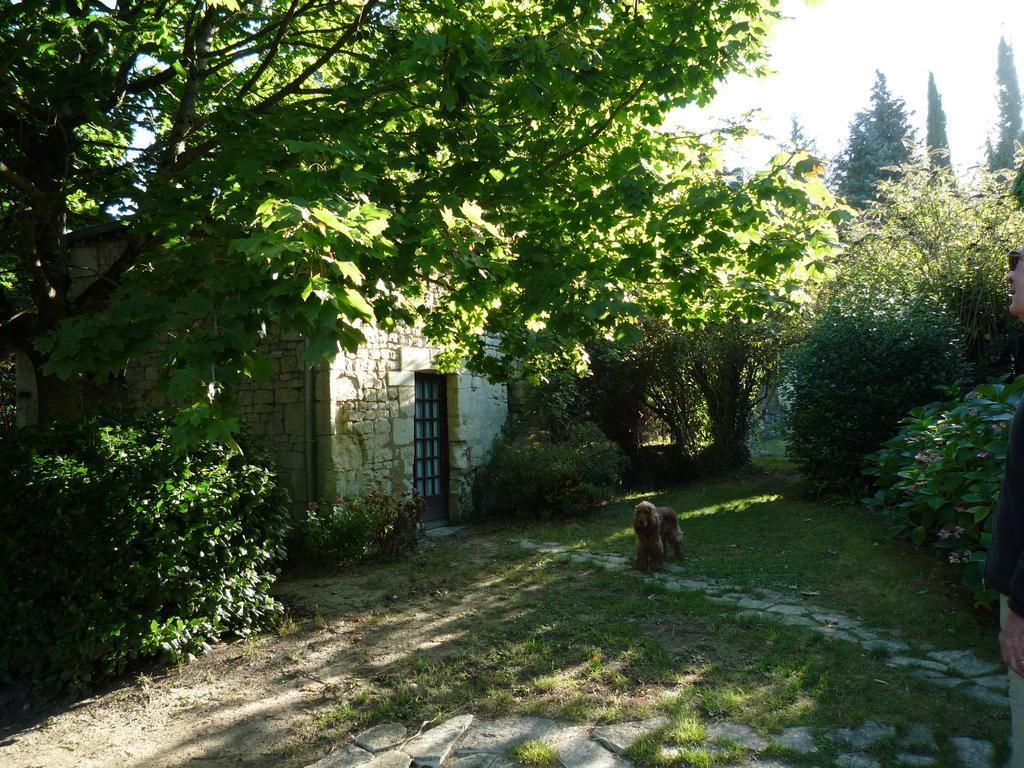 Bed and Breakfast Le Logis Du Peu Girard La Roche-Clermault Esterno foto