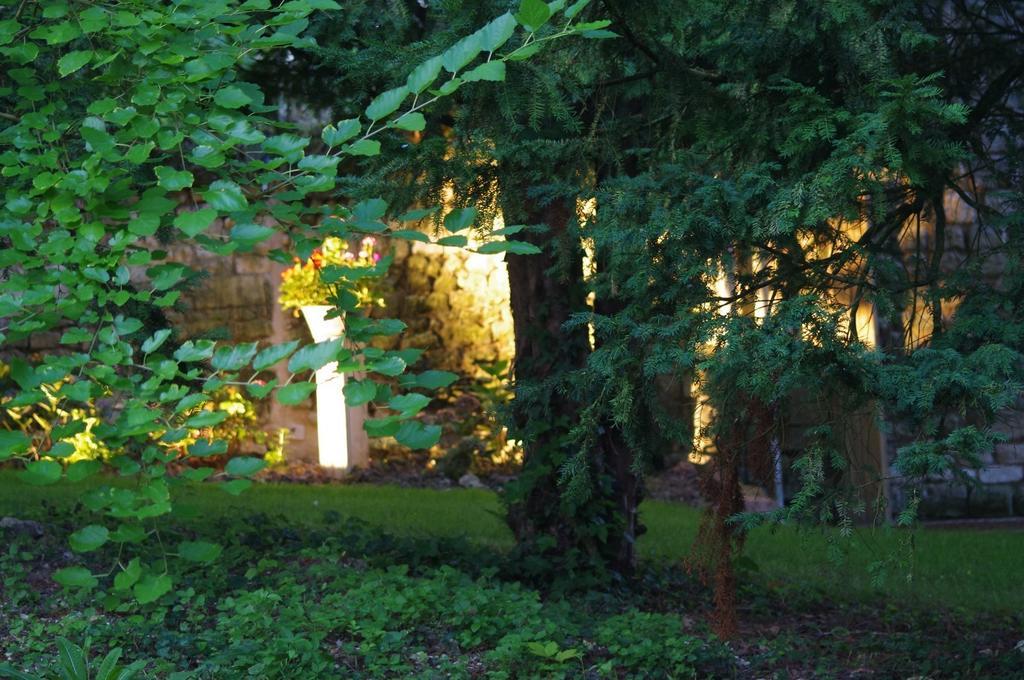 Bed and Breakfast Le Logis Du Peu Girard La Roche-Clermault Esterno foto