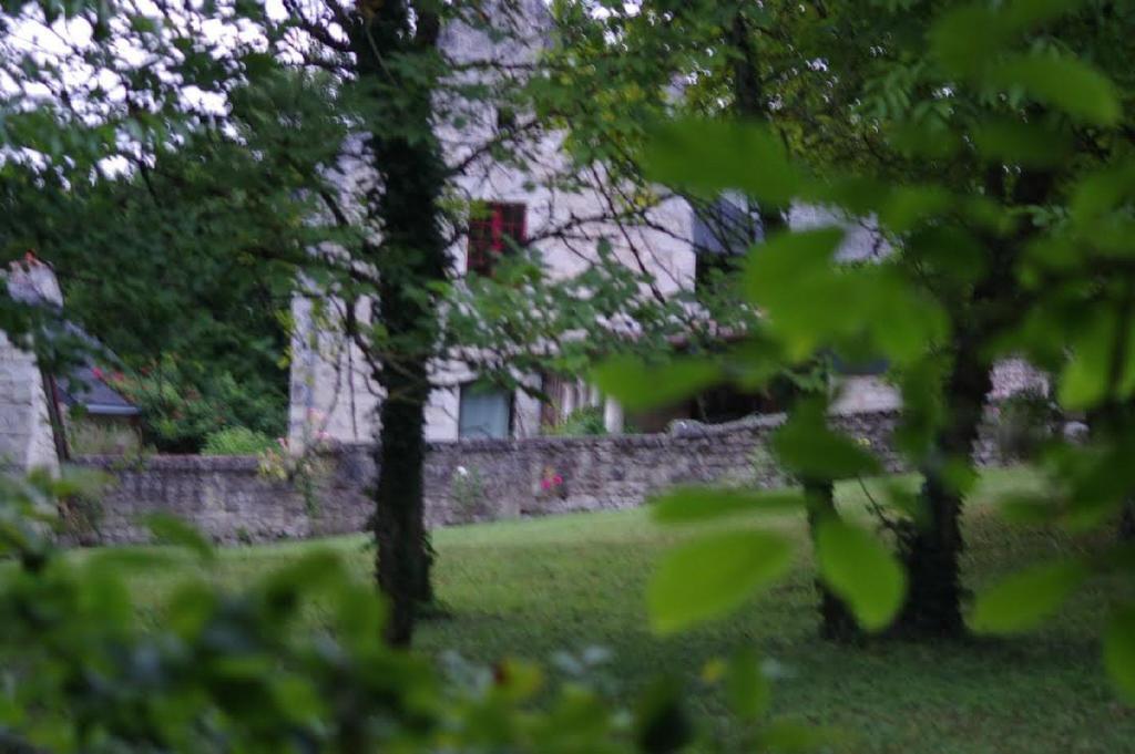 Bed and Breakfast Le Logis Du Peu Girard La Roche-Clermault Esterno foto