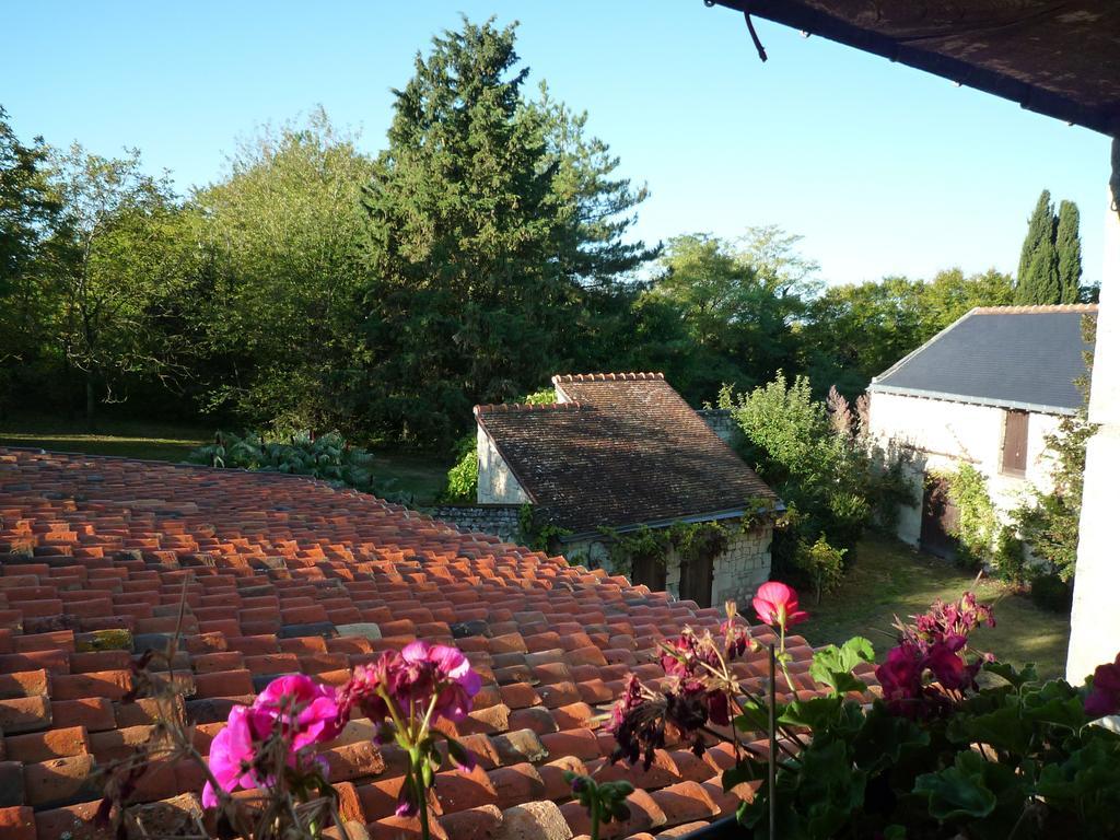 Bed and Breakfast Le Logis Du Peu Girard La Roche-Clermault Camera foto